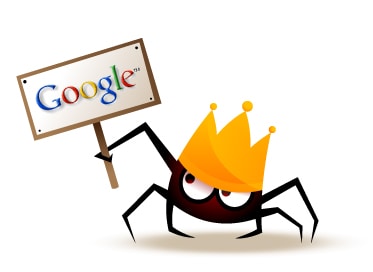 Google search engine spider
