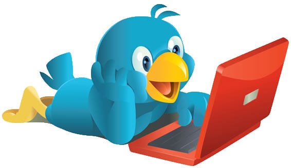 Twitter bird with a laptop