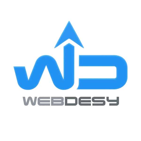 The large WebDesy logo