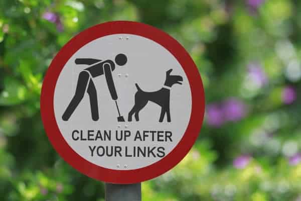 clean-up-links