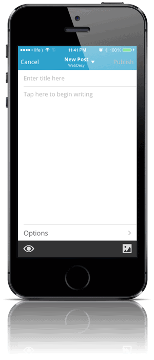 New post in WordPress app for iPhone