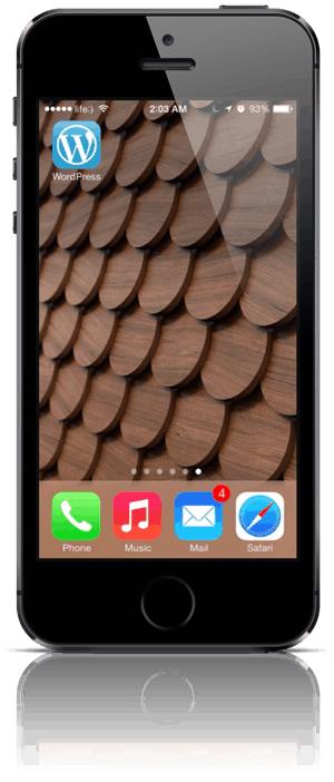 iPhone WordPress app icon