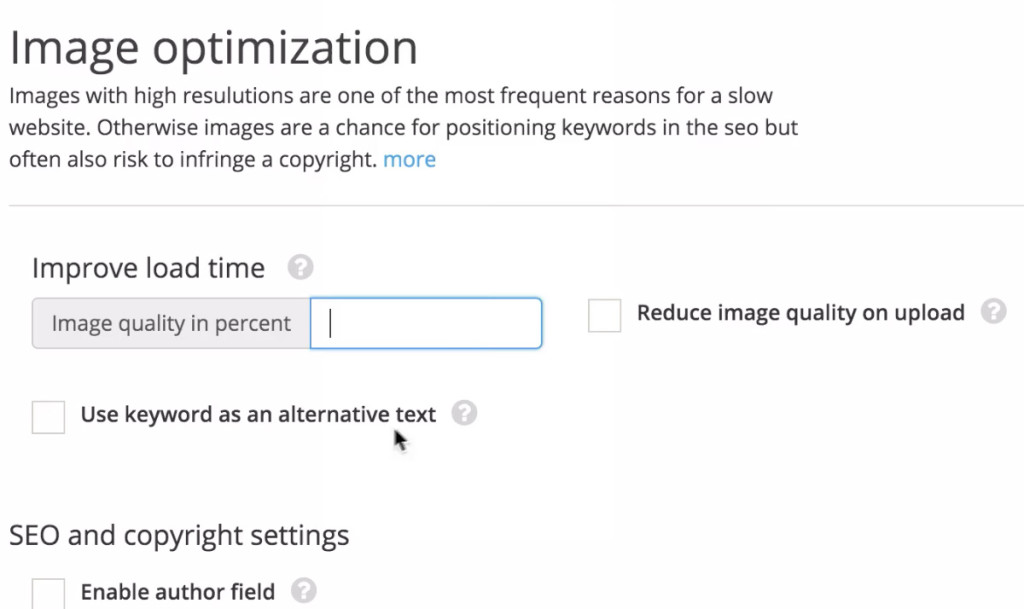 image optimization DELUCKS SEO