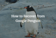 How to Recover from Google Penguin
