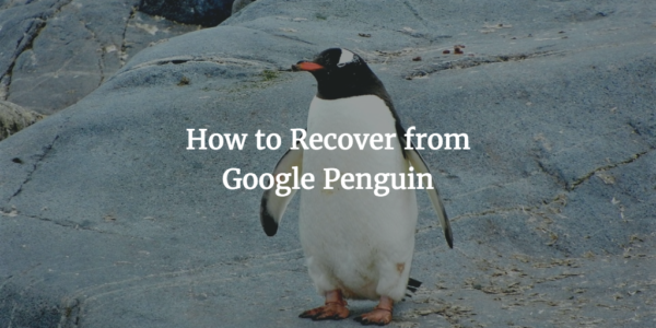 How to Recover from Google Penguin