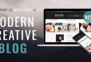 Brixton Theme Review