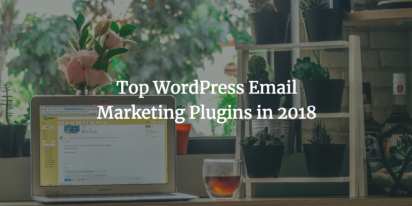 Top WordPress Email Marketing Plugins in 2018