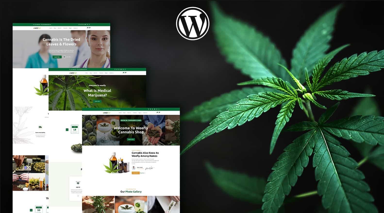 Hemp Website Design 